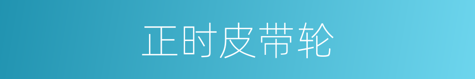 正时皮带轮的同义词