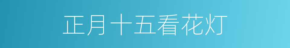 正月十五看花灯的同义词