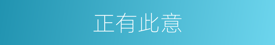 正有此意的同义词