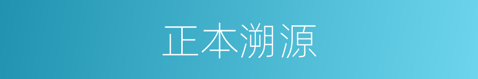 正本溯源的意思
