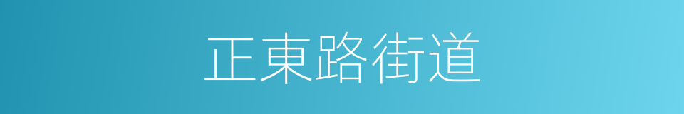 正東路街道的同義詞