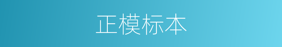正模标本的同义词