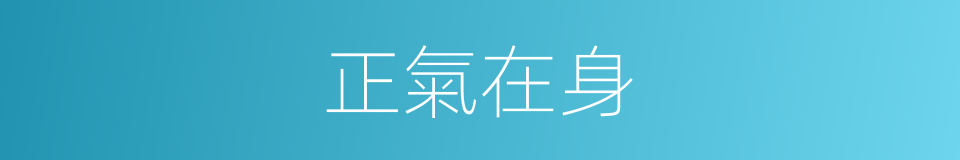 正氣在身的同義詞