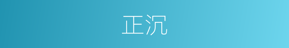 正沉的同义词