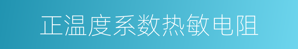 正温度系数热敏电阻的同义词