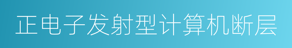 正电子发射型计算机断层的同义词