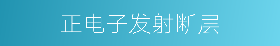 正电子发射断层的同义词