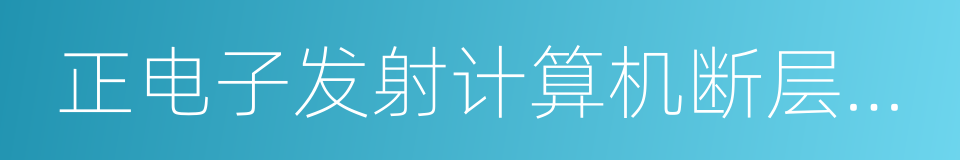 正电子发射计算机断层成像的同义词