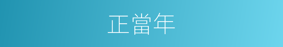 正當年的意思