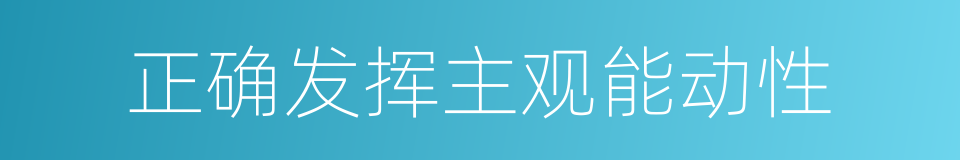 正确发挥主观能动性的同义词