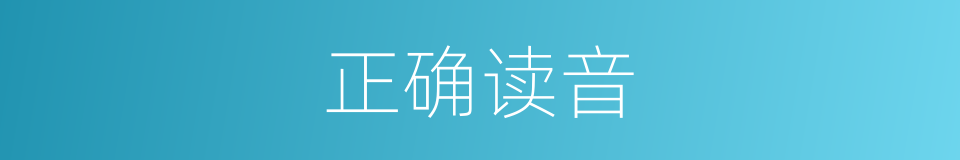 正确读音的意思