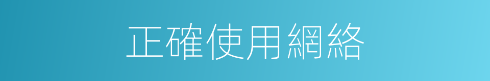 正確使用網絡的同義詞