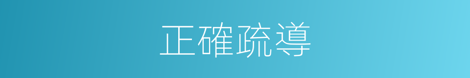 正確疏導的同義詞