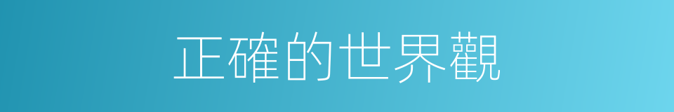 正確的世界觀的同義詞
