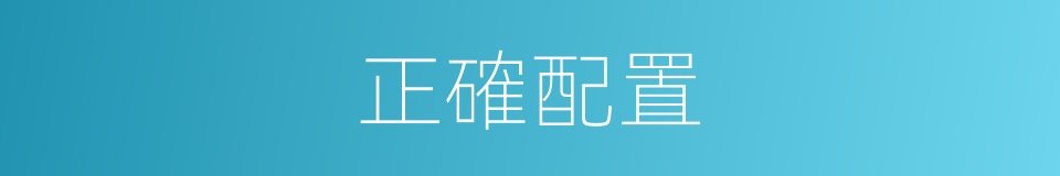 正確配置的同義詞