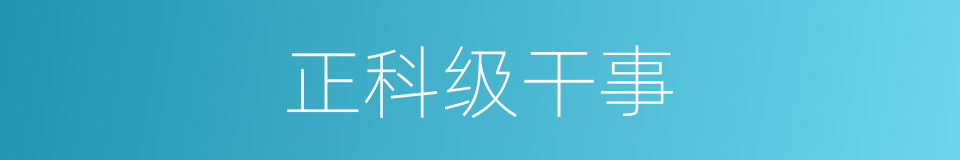 正科级干事的同义词