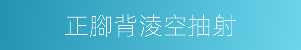 正腳背淩空抽射的同義詞