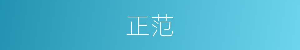正范的同义词