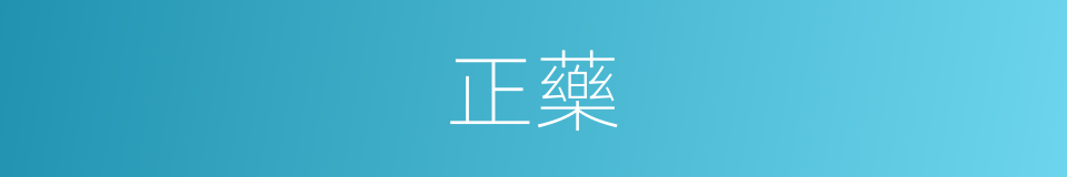 正藥的同義詞