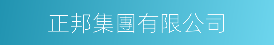 正邦集團有限公司的同義詞