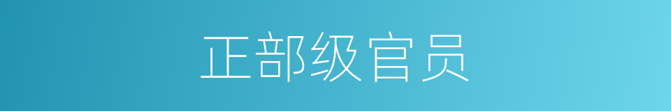 正部级官员的同义词