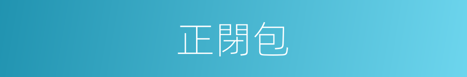正閉包的同義詞
