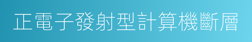 正電子發射型計算機斷層的同義詞