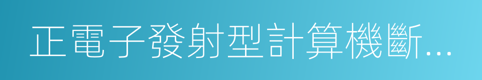 正電子發射型計算機斷層顯像的同義詞