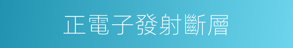 正電子發射斷層的同義詞