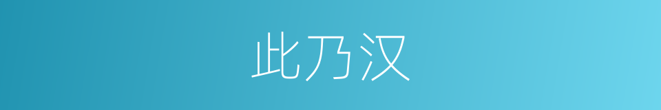 此乃汉的同义词