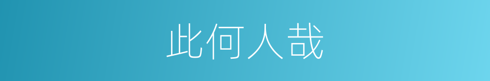 此何人哉的同义词