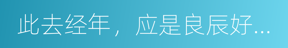 此去经年，应是良辰好景虚设的同义词