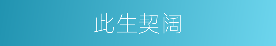 此生契阔的同义词