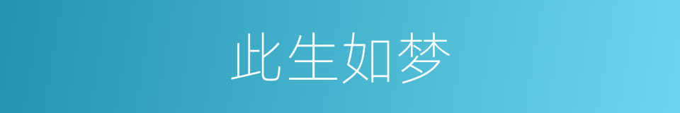 此生如梦的同义词