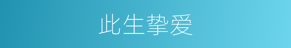 此生挚爱的意思