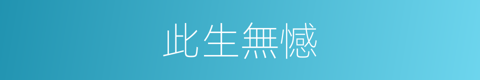 此生無憾的同義詞