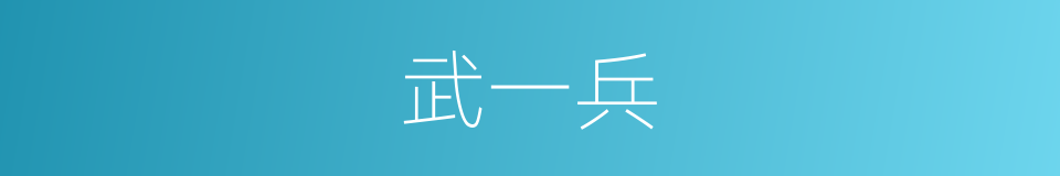 武一兵的同义词