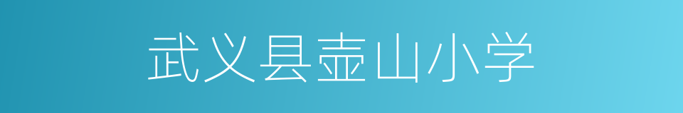 武义县壶山小学的同义词