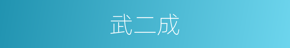武二成的同义词