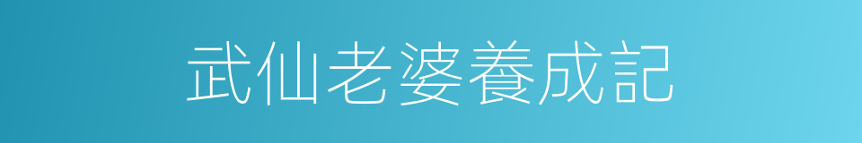 武仙老婆養成記的同義詞