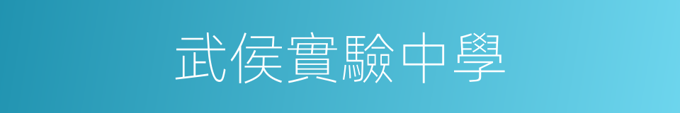 武侯實驗中學的同義詞