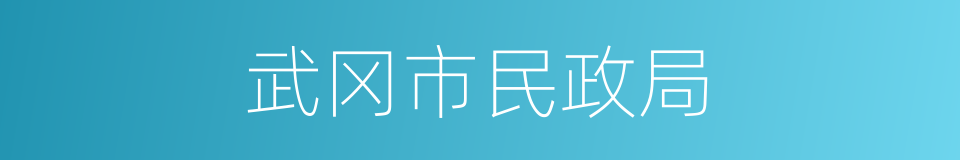 武冈市民政局的同义词