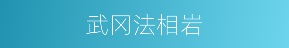 武冈法相岩的同义词