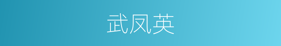 武凤英的同义词