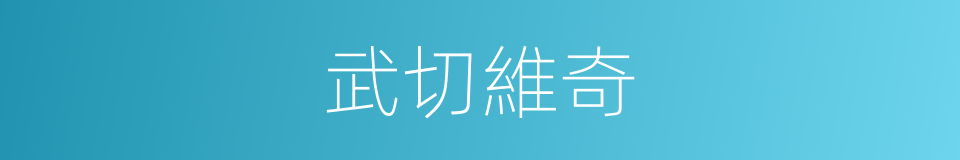 武切維奇的同義詞