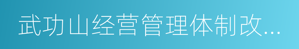 武功山经营管理体制改革方案的同义词