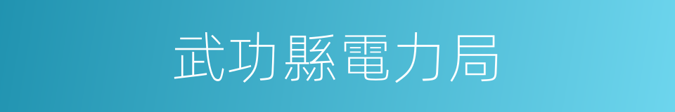 武功縣電力局的同義詞