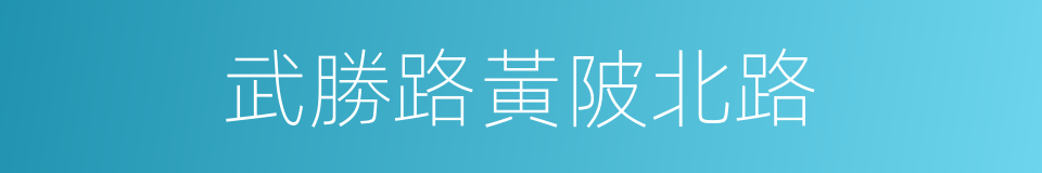 武勝路黃陂北路的同義詞