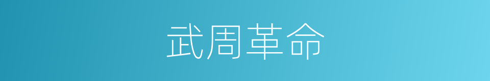 武周革命的同义词