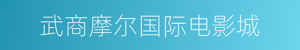 武商摩尔国际电影城的同义词